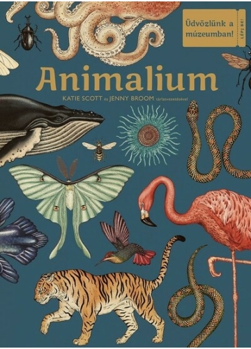 Animalium – Üdvözlünk a múzeumban! Jenny Broom, Katie Scott, topbook, konyvaruhaz.eu, 