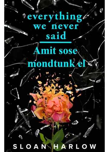 Everything We Never Said - Amit sose mondtunk el Sloan Harlow