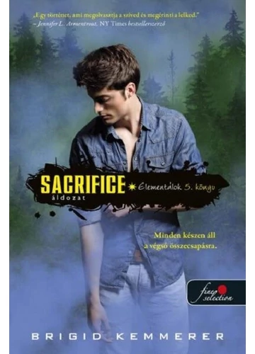 Sacrifice - Áldozat - Elementálok 5. Brigid Kemmerer