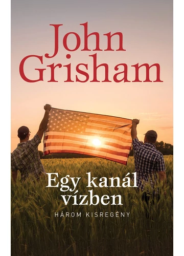 Egy kanál vízben John Grisham