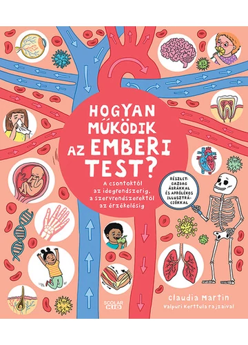 Hogyan működik az emberi test? - A csontoktól az idegrendszerig, a szervrendszerektől az érzékelésig Claudia Martin