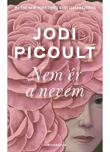 Nem ér a nevem Jodi Picoult