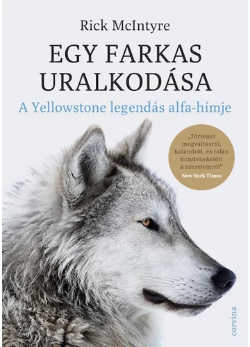 Egy farkas uralkodása - A Yellowstone legendás alfa-hímje Rick McIntyre