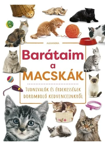 Barátaim, a macskák, konyvaruhaz.eu, könyvesbolt, 