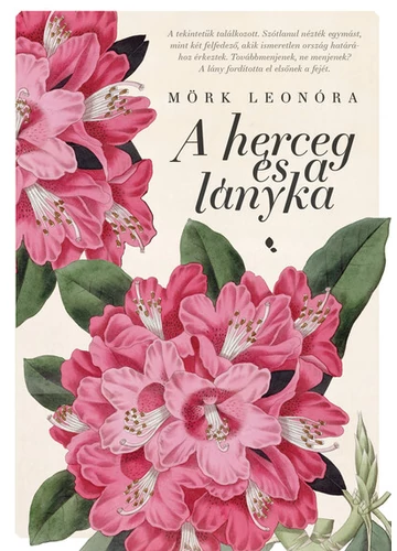 A herceg és a lányka Mörk Leonóra, konyvaruhaz.eu, könyvesbolt, 