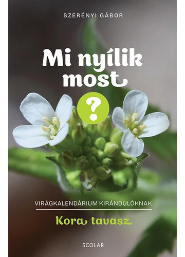 Mi nyílik most? - Kora tavasz - Virágkalendárium kirándulóknak Szerényi Gábor, könyváruház, könyvesbolt, 