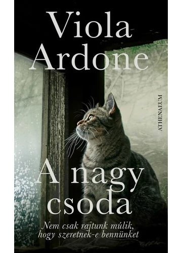 A nagy csoda Viola Ardone, konyvaruhaz.eu, könyvesbolt, 