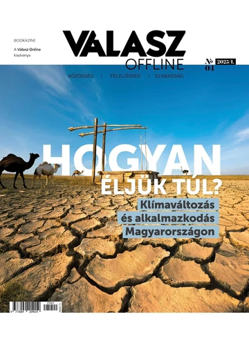 Hogyan éljük túl?  Borbás Barna-Stumpf András
