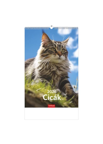 Cicák falinaptár - 2026 