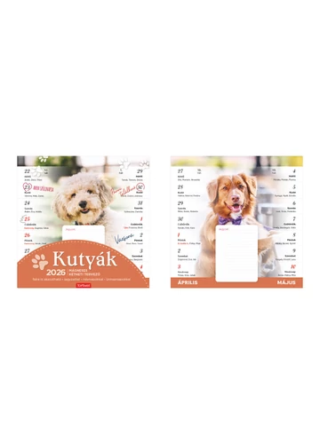 T090 KUTYÁK MÁGNESES FALINAPTÁR