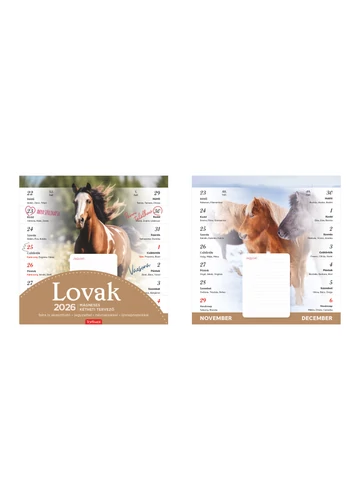 T090 LOVAK MÁGNESES FALINAPTÁR