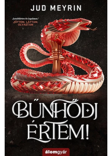Bűnhődj értem! Jud Meyrin