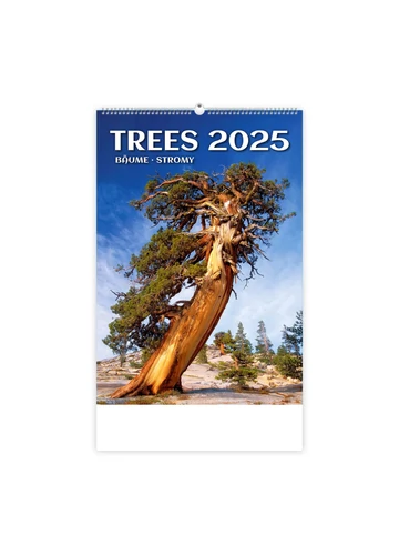 Trees - Fák képes falinaptár 2025