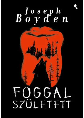 Foggal született Joseph Boyden, topbokk, konyvaruhaz.eu, 