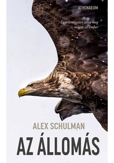 Az állomás Alex Schulman, topbook, konyvaruhaz.eu, 