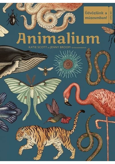 Animalium – Üdvözlünk a múzeumban! Jenny Broom, Katie Scott, topbook, konyvaruhaz.eu, 