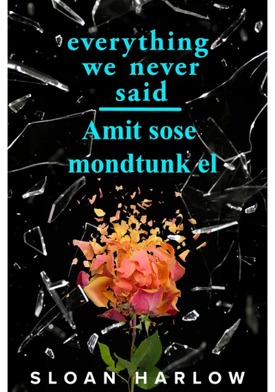 Everything We Never Said - Amit sose mondtunk el Sloan Harlow