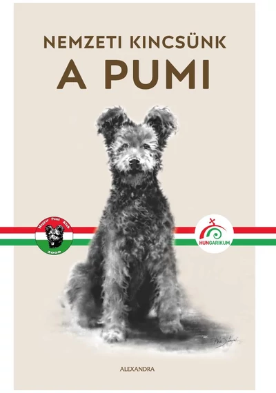 A pumi 