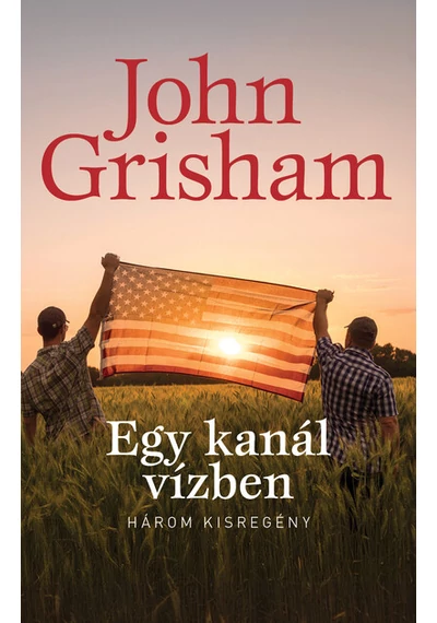 Egy kanál vízben John Grisham