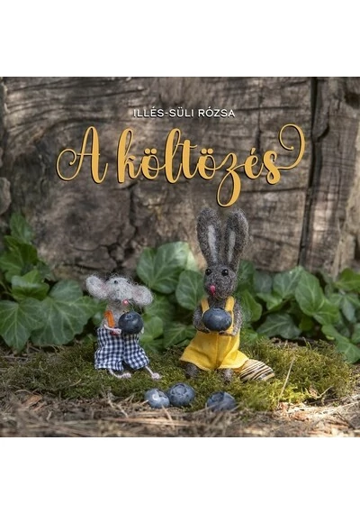A költözés Illés-Süli Rózsa
