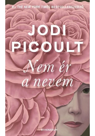 Nem ér a nevem Jodi Picoult