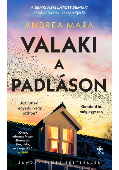 Valaki a padláson  Someone in the Attic