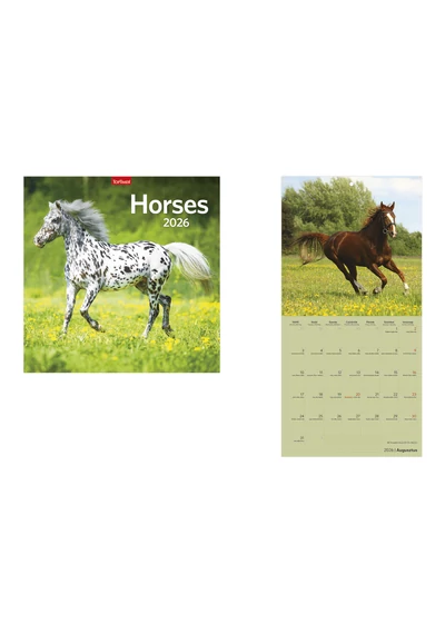 Horses (lovak) falinaptár - 2026