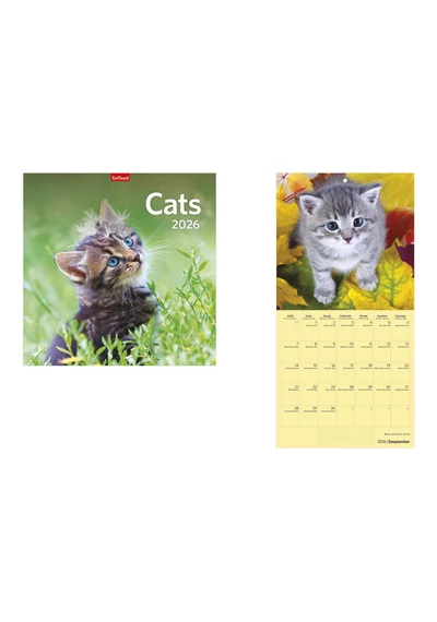 Cats falinaptár - 2026