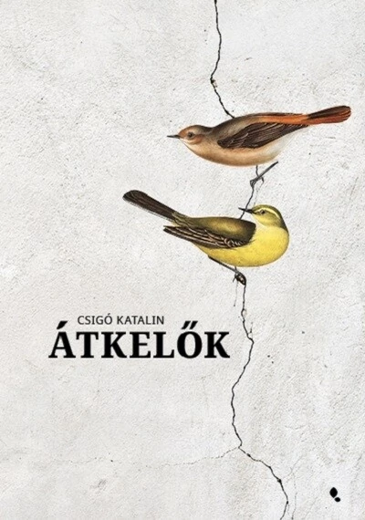 Átkelők (új kiadás) Csigó Katalin, topbook, konyvaruhaz.eu, 