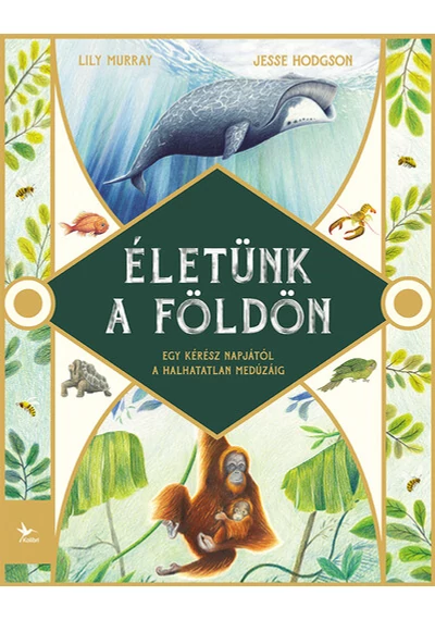 Életünk a Földön - Egy kérész napjától a halhatatlan medúzáig Jesse Hodgson, Lily Murray, topbook, konyvaruhaz.eu, 