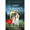 A lány az álmaimból Diane Chamberlain