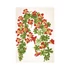 Kép 9/12 - Herbarium falinaptár - 2026