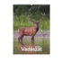 Kép 1/13 - Vadászat falinaptár - 2026 