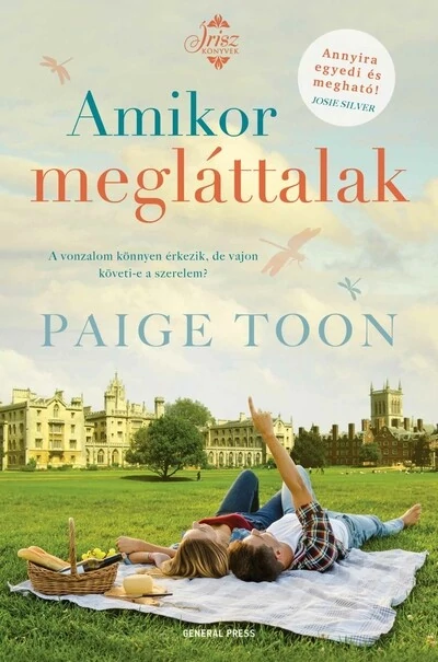 Amikor megláttalak - Írisz-könyvek Paige Toon