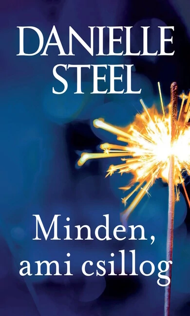 Minden, ami csillog  - Danielle Steel