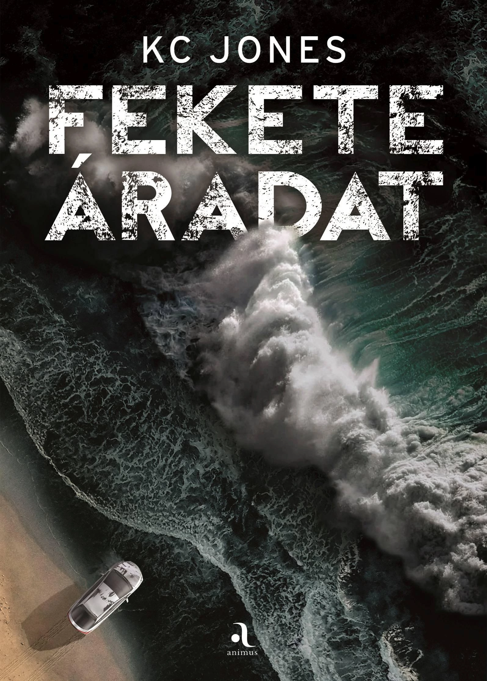 Fekete áradat KC Jones