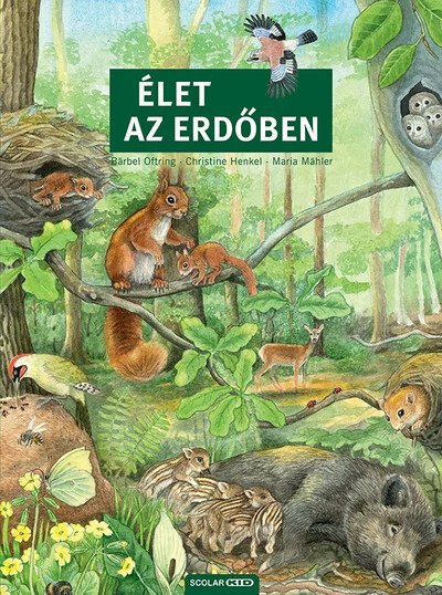 Élet az erdőben Barbel Oftring