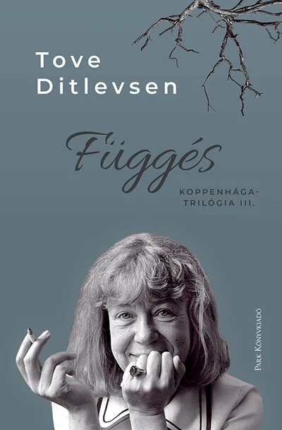 Függés - Koppenhága-trilógia III. Tove Ditlevsen