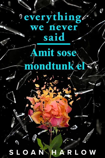 Everything We Never Said - Amit sose mondtunk el Sloan Harlow