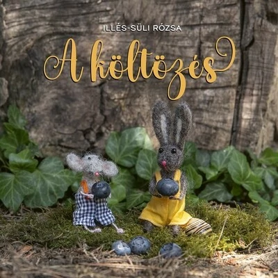 A költözés Illés-Süli Rózsa