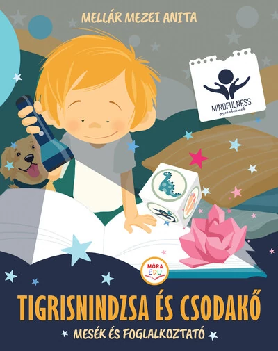 Tigrisnindzsa és csodakő - Mesék és foglalkoztató Mellár Mezei Anita