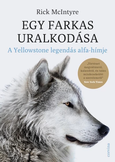 Egy farkas uralkodása - A Yellowstone legendás alfa-hímje Rick McIntyre