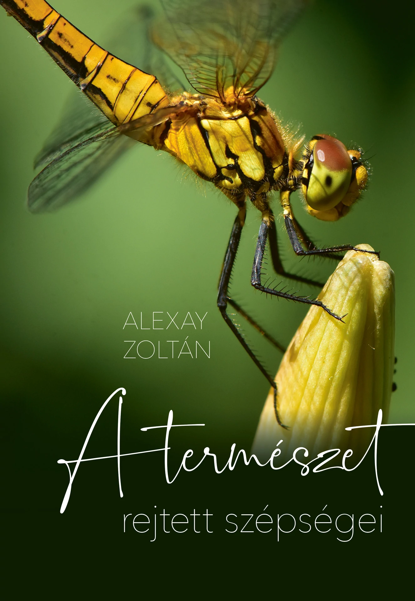 A természet rejtett szépségei  Alexay Zoltán