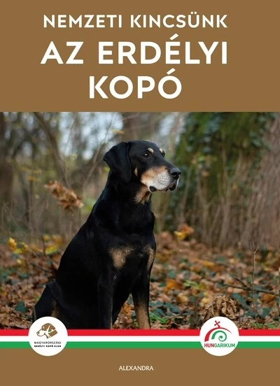 Nemzeti kincsünk az erdélyi kopó - Magyar Erdélyi Kopó Klub