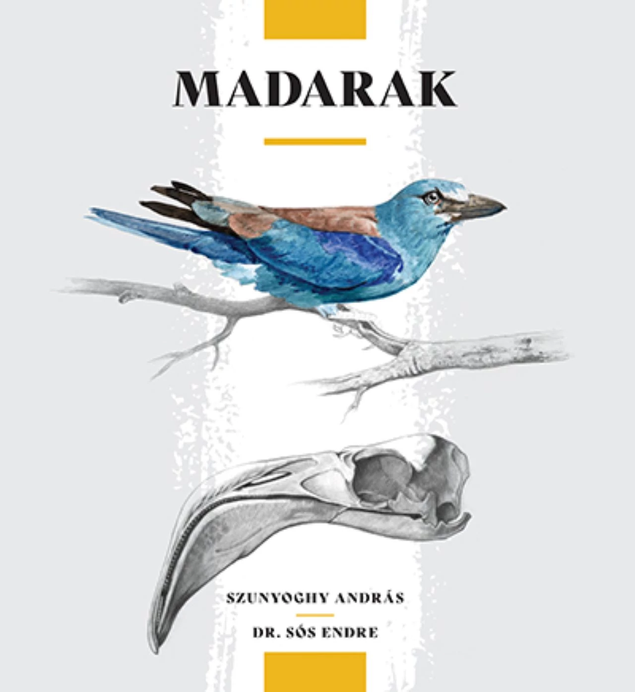 Madarak Dr.Sós Endre