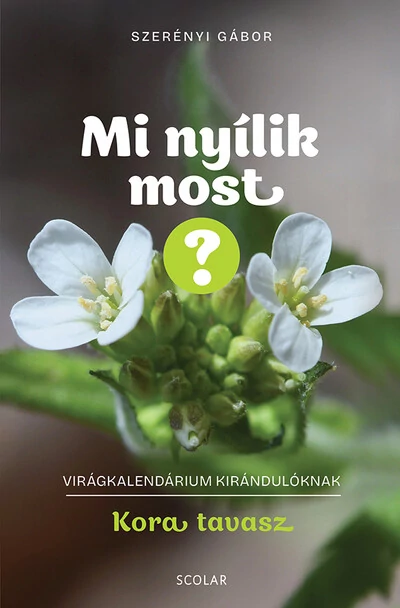 Mi nyílik most? - Kora tavasz - Virágkalendárium kirándulóknak Szerényi Gábor