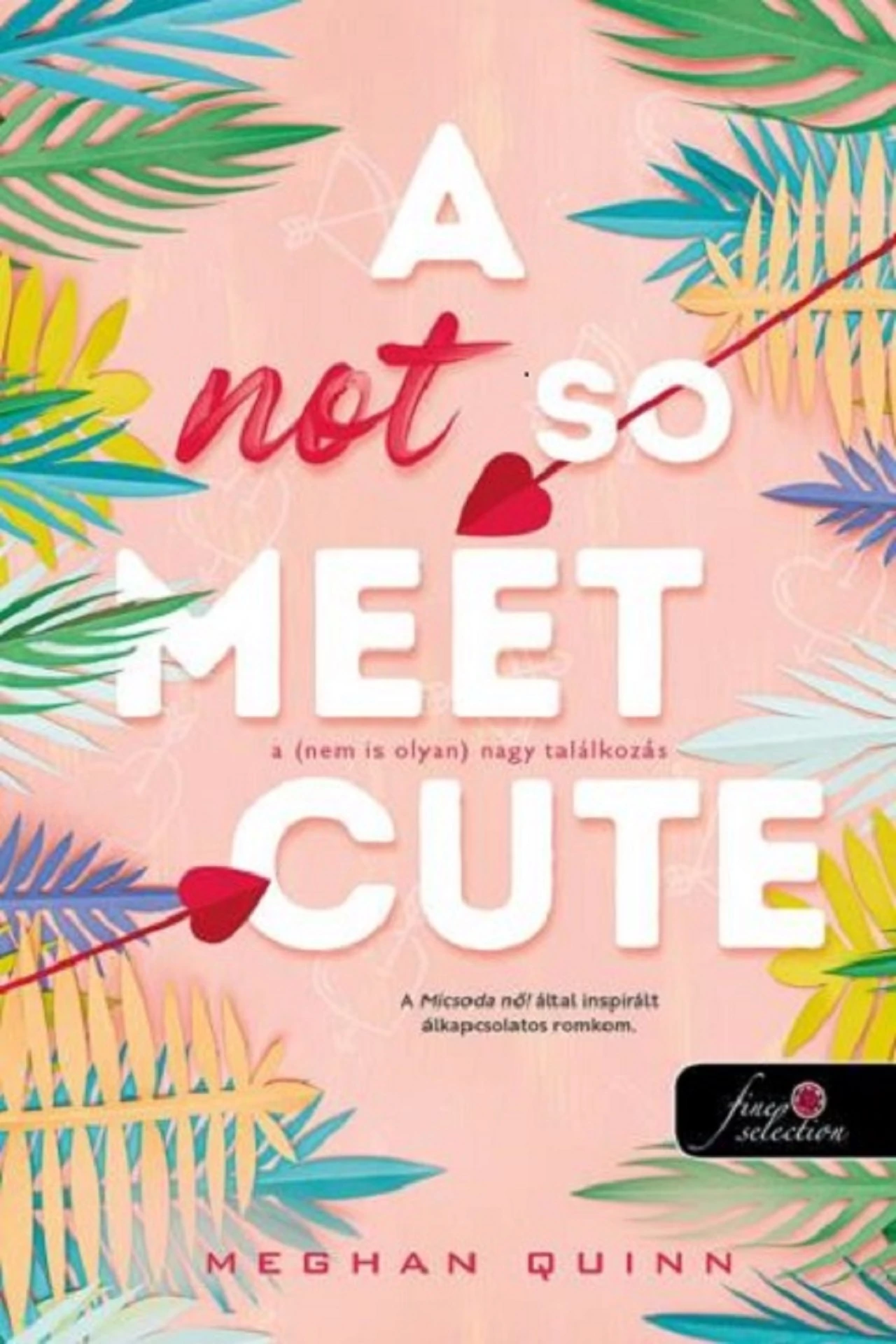A Not So Meet Cute - A (nem is olyan) nagy találkozás  Meghan Quinn