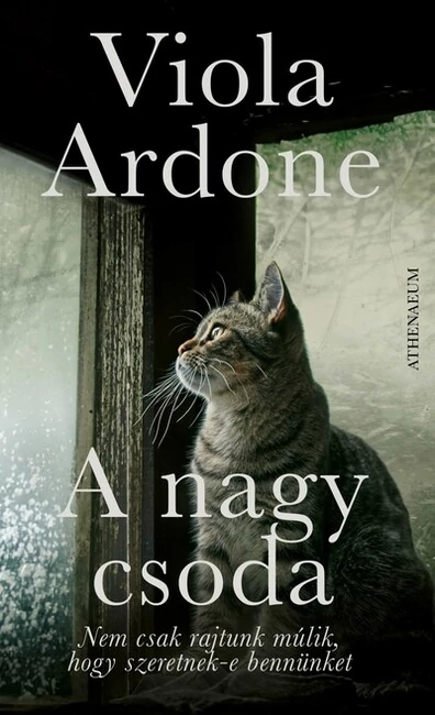 A nagy csoda Viola Ardone