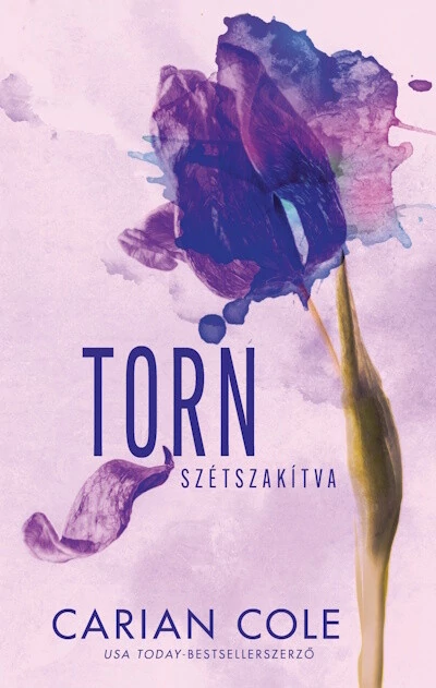 Torn - Szétszakítva (éldekorált) Carian Cole