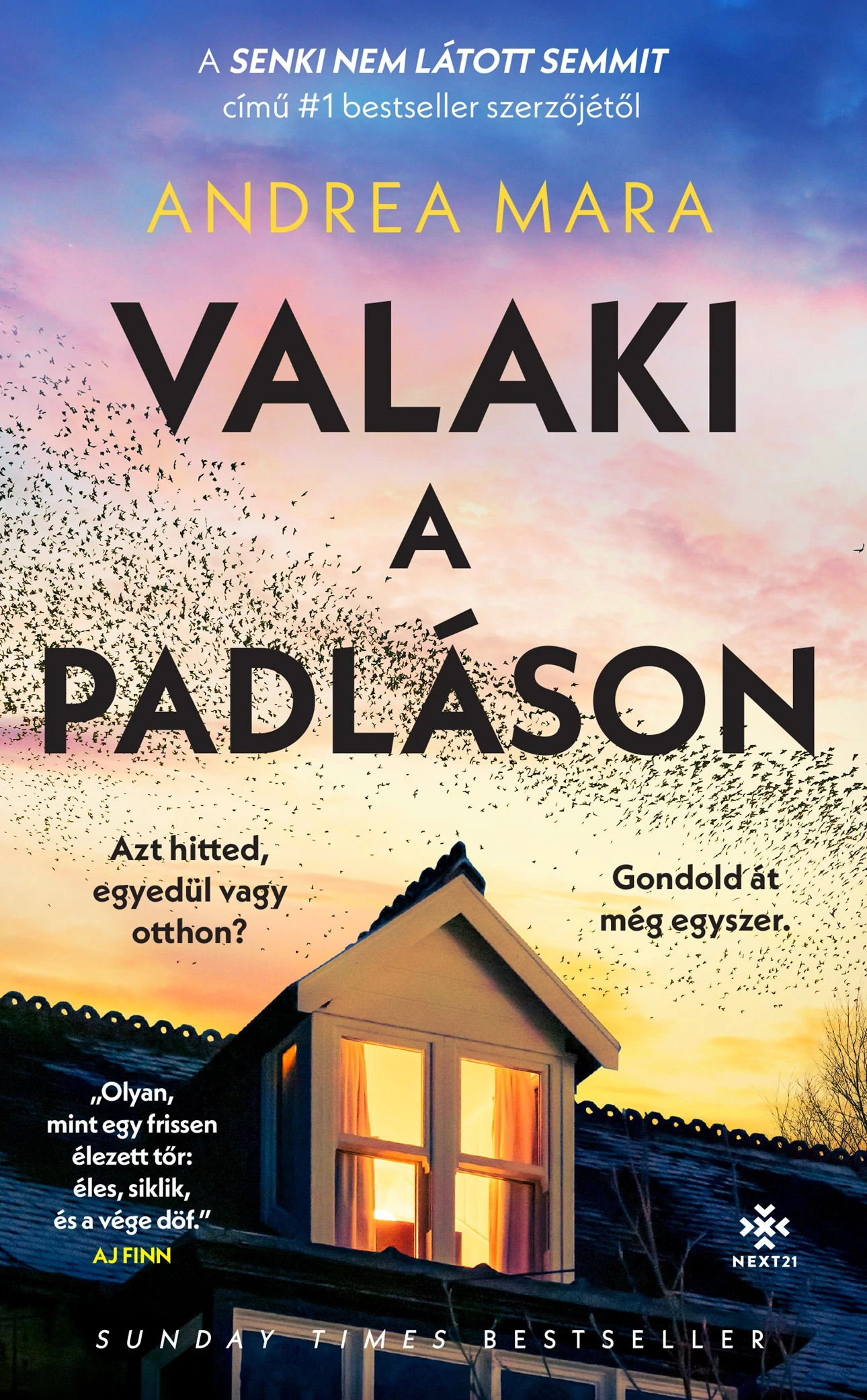Valaki a padláson  Someone in the Attic